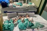 Krisis energi, dokter di jalur Gaza terpaksa rawat empat bayi dalam satu inkubator
