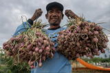 Potensi inflasi pada komoditas bawang merah