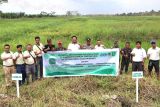 PT Globalindo Alam Perkasa konsisten jalankan Program Rehabilitasi Sempadan Sungai