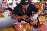 Sejumlah remaja mengikuti ritual Metatah atau potong gigi massal yang bertepatan dengan hari suci Tumpek Wayang di Pura Agung Lokanatha, Denpasar, Bali, Sabtu (25/11/2023). Kegiatan yang digelar oleh Parisada Hindu Dharma Indonesia (PHDI) Kota Denpasar tersebut diikuti 204 umat Hindu sebagai upaya menghapus stigma bahwa ritual potong gigi di Bali menelan biaya besar dan cenderung dinilai menjadi beban bagi sebagian masyarakat yang belum paham maknanya. ANTARA FOTO/Nyoman Hendra Wibowo/wsj.