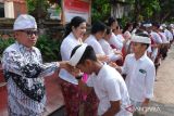 Sejumlah murid berbaris sambil menyalami guru saat perayaan Hari Guru di SMP Negeri 1 Denpasar, Bali, Sabtu (25/11/2023). Kegiatan tersebut digelar sebagai ungkapan rasa kasih sayang dan terima kasih dari murid kepada gurunya dalam memperingati Hari Guru Nasional 2023. ANTARA FOTO/Nyoman Hendra Wibowo/wsj.