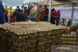 Sejumlah warga antre berbelanja kebutuhan pangan saat berlangsung pasar murah Banda Aceh, Aceh, Senin (27/11/2023). Operas pasar murah menyediakan empat komoditas, beras, gula pasir, minyak goreng kemasan dan telur ayam dengan harga Rp185.000 per paket atau lebih murah sekitar 15 persen dibanding dengan harga pangan di  pasar bebas itu untuk pemenuhuan kebutuhan masyarakat, stabilitas harga dan pengendalian inflasi. ANTARA FOTO/Ampelsa.