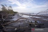 Nelayan mencari ikan di sekitar hutan mangrove yang rusak di pesisir pantai Tambak, Indramayu, Jawa Barat, Rabu (29/11/2023). Hutan mangrove di kawasan itu rusak akibat tergerus abrasi disebabkan gelombang tinggi yang terjadi sejak beberapa bulan lalu. ANTARA FOTO/Dedhez Anggara/agr