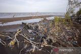 Nelayan mencari ikan di sekitar hutan mangrove yang rusak di pesisir pantai Tambak, Indramayu, Jawa Barat, Rabu (29/11/2023). Hutan mangrove di kawasan itu rusak akibat tergerus abrasi disebabkan gelombang tinggi yang terjadi sejak beberapa bulan lalu. ANTARA FOTO/Dedhez Anggara/agr