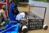 BKSDA Pangkalan Bun pasang perangkap buaya di Sungai Arut