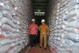 Direktur Utama Perum Bulog, Budi Waseso (kanan) didampingi Pemimpin Perum Bulog Kanwil Aceh,  Saldi (kiri) meninjau ketersediaan  di gudang penyimpanan , kabupaten Aceh Besar, Aceh, Jumat (1/12/2023). Perum Bulog mencatat serapan beras petani hingga November 2023 sebanyak 924.000 ton atau realisasinya baru mencapai sekitar  86 persen dari target 1,2 juta ton karena keterbatasan stok beras pada petani dan selain produksi padi menurun dampak dari elnino. ANTARA FOTO/Ampelsa.