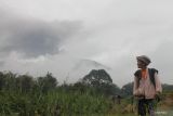 Petani di lereng gunung tetap beraktivitas saat Marapi erupsi