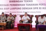 Kadis TPHP Lampung Selatan hadiri bimtek standarisasi perbenihan tanaman pertanian