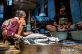 Warga membersihkan ikan untuk di pindang di Sentra Produksi Pindang Ikan di Desa Lengkong, Kecamatan Bojongsoang, Kabupaten Bandung, Jawa Barat, Rabu (6/12/2023). Sentra produksi pindang ikan yang ada sejak 1980 an tersebut mampu memproduksi sebanyak satu kuintal pindang ikan per hari dari setiap rumah serta dipasarkan di berbagai pasar di Kota Bandung. ANTARA FOTO/Raisan Al Farisi/agr
