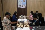 Sejumlah pecatur bertanding pada International Chess Championship di Medan, Sumatera Utara, Selasa (6/12/2023). Kejuaraan catur tingkat internasional yang berlangsung pada 5-10 Desember 2023 tersebut diikuti oleh 183 pecatur dari 11 negara.ANTARA FOTO/Yudi/