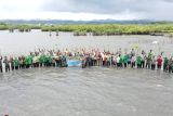 Kodim Selayar melakukan penanaman mangrove di area Pantai Barat