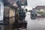 BPBD minta warga bantaran sungai di Palangka Raya waspada banjir