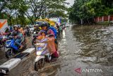 Kendaraan melintasi genangan air di Jalan Soekarno Hatta, Gedebage, Bandung, Jawa Barat, Senin (11/12/2023). Jalan tersebut terendam air setinggi 30 hingga 60 cm serta membuat kemacetan panjang usai hujan deras yang diperparah buruknya drainase di kawasan tersebut. ANTARA FOTO/Raisan Al Farisi/agr
