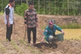 Tumbang Mangkutup jadi proyek percontohan pembangunan berbasis hutan desa