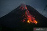 Guguran lava pijar Gunung Merapi terlihat dari Turi, Sleman, DI Yogyakarta, Selasa (12/12/2023). Menurut data BPPTKG periode pengamatan 11 Desember 2023 pukul 00.00-24.00 WIB telah terjadi 24 kali guguran lava dengan jarak luncuran maksimal 1.900 meter ke Kali Bebeng dan tiga kali guguran lava dengan jarak luncur 1.000 meter ke arah Kali Boyong, tingkat aktivitas Gunung Merapi Siaga (level III). ANTARA FOTO/Hendra Nurdiyansyah/wsj.