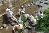 BRI bersihkan sungai dan tanam pohon  di Sulut
