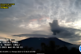 PVMBG: Gunung Marapi erupsi