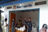 Bulog sebut rumah pangan kita tumbuh 6 persen di Sulawesi Tengah