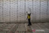 Pekerja mengangkut karung pupuk urea di Gudang Lini 3 Cibolang, Kabupaten Sukabumi, Jawa Barat, Jumat (15/12/2023). Pupuk Indonesia menyiapkan sebanyak 1,2 juta ton pupuk yang tersedia di gudang lini III untuk menyambut musim tanam pada awal 2024. ANTARA FOTO/Henry Purba/agr
