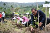 Semen Padang serahkan 16 ribu bibit kopi untuk dorong perekonomian