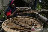 Pekerja menjemur dendeng ikan layur di Palabuhanratu, Kabupaten Sukabumi, Jawa Barat, Senin (18/12/2023). Menurut pengusaha, produksi per harinya mampu menghasillkan sebanyak 10 kilogram dendeng berbahan dasar ikan layur yang dijual dengan harga Rp25 ribu per bungkus ke sejumlah daerah di Indonesia. ANTARA FOTO/Henry Purba/agr