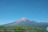 Gunung Semeru di Lumajang kembali erupsi