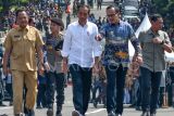 Presiden Joko Widodo (tengah) didampingi Wali Kota Bogor Bima Arya (kedua kanan) dan Menteri Dalam Negeri Tito Karnavian (kiri) berjalan bersama menuju lokasi peresmian jembatan Otista, Kota Bogor, Jawa Barat, Selasa (19/12/2023). Revitalisasi jembatan Otista, Kota Bogor yang menggunakan anggaran bantuan Provinsi Jawa Barat sebesar Rp50 miliar dan dikerjakan selama 7,5 bulan tersebut sebagai upaya mengatasi kemacetan di Kota Bogor. ANTARA FOTO/Arif Firmansyah/nym.