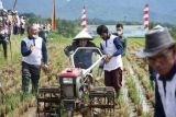 Melebihi target, 4308 hektare sawah di Tanah Datar dibajak secara gratis