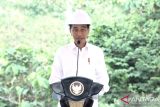 Presiden Jokowi: UMKM berinvestasi di IKN dibebaskan dari PPh dan PPN