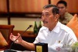 Luhut sebut Jokowi piawai bernavigasi ketika ekonomi dunia sulit