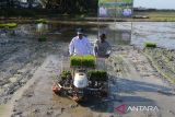 Wakil Menteri Pertanian, Harvick Hasnul Qolbi (kedua kiri) bersama petani melakukan penanaman padi  serentak seusai berdialog dengan anggota kelompok tani  di desa Indra Puri, kabupaten Aceh Besar, Aceh, Jumat (22/12/2023). Kementerian pertanian akan mengotimalkan pendistribusian pupuk, bantuan bibit padi unggul dan alsintan untuk petani dalam meningkatkan produktivitas gabah  yang selama ini baru mencapai 7 ton menjadi 8 hingga 9 ton guna pemenuhan ketahanan pangan pada tahun 2024. ANTARA FOTO/Ampelsa.