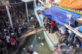 Calon Presiden nomor urut 3 Ganjar Pranowo turun dari kapal nelayan saat mengunjungi Tempat pelelangan ikan Karangsong, Indramayu, Jawa Barat, Sabtu (23/12/2023). Dalam kunjungannya Ganjar juga melihat proses lelang ikan sekaligus mendengarkan keluhan serta aspirasi dari nelayan. ANTARA FOTO/Dedhez Anggara/agr