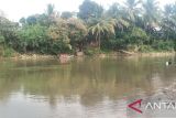 BPBD dan SAR cari warga yang tenggelam di Sungai Ogan