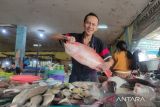 Harga ikan di Sampit merangkak naik dampak pasokan berkurang