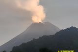 Gunung Merapi alami 71 gempa guguran