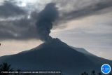 PVMBG imbau warga Flotim hindari potensi gas beracun gunung api