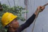 Perbaikan kabel jaringan listrik pascabencana alam di Limapuluh Kota