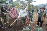 Menteri Lingkungan Hidup dan kehutanan (KLHK) RI, Siti Nurbaya Bakar, melakukan penanaman pohon di Taman Safari Bogor, Sabtu (30/12/2023). Program penanaman pohon ini dilakukan serentak di seluruh Indonesia dalam menjaga lingkungan selama musim penghujan. Antara Arif Firmansyah