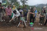 Menteri Lingkungan Hidup dan kehutanan (KLHK) RI, Siti Nurbaya Bakar, melakukan penanaman pohon di Taman Safari Bogor, Sabtu (30/12/2023). Program penanaman pohon ini dilakukan serentak di seluruh Indonesia dalam menjaga lingkungan selama musim penghujan. Antara Arif Firmansyah.