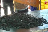 DPRD minta Pemkab Seruyan beri bantuan bagi para nelayan