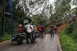 Jalan Nasional Padang-Kerinci tertimbun longsor