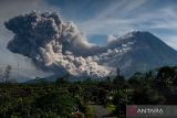 Luncuran awan panas Gunung Merapi terlihat dari Turi, Sleman, DI Yogyakarta, Minggu (12/3/2023). Menurut data BPPTKG pada 12 Maret 2023 pukul 07.04 - 07.56 WIB telah terjadi 3 awan panas guguran dengan jarak luncur antara 2.000 meter hingga 2.500 meter ke arah barat daya. ANTARA FOTO/Andreas Fitri Atmoko/foc.
