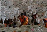 Pekerja melakukan pengantongan beras ukuran 10 kilogram di gudang  Perum Bulog Kanwil provinsi Aceh, kabupaten Aceh Besar, Kamis (4/1/2024). Badan Pengan Nasional (Bapanas)  menggunakan data terbaru kembali menyalurkan bantuan pangan beras awal tahun 2024 kepada sebanyak 22 juta  keluarga penerima manfaat (KPM) atau meningkat sekitar 8 persen dibanding tahun 2023 sebanyak 21,3 juta KPM dan bantuan pangan tersebut akan dilanjutkan pada Februari dan Maret. ANTARA FOTO/Ampelsa.