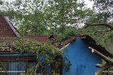 Masyarakat Lampung waspadai potensi hujan lebat dan angin kencang