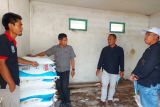 Kementan kurangi jatah alokasi pupuk subsidi secara nasional