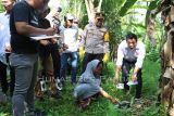 Polres Pasaman Barat tangkap istri diduga bunuh suami pakai racun