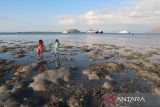 Masyarakat di kawasan pesisir paling rentan terdampak perubahan iklim
