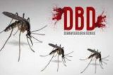Kemenkes gaet Biofarma dan Takeda untuk target nol kematian akibat DBD 2030,