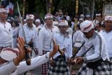 Umat Hindu yang kesurupan menusukkan keris ke badannya saat Upacara Pecaruan Laba Kama Durga di Pura Dalem Kerobokan, Kuta Utara, Badung, Bali, Rabu (10/1/2024). Upacara yang digelar setiap setahun sekali tersebut diikuti ratusan warga perwakilan dari 20 banjar di Desa Adat Kerobokan untuk menetralisir energi negatif sekaligus memohon anugerah dan kesejahteraan kepada Dewa Siwa. ANTARA FOTO/Nyoman Hendra Wibowo/wsj.