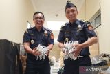 KPPBC  Kudus ungkap 181 kasus rokok ilegal selama 2023